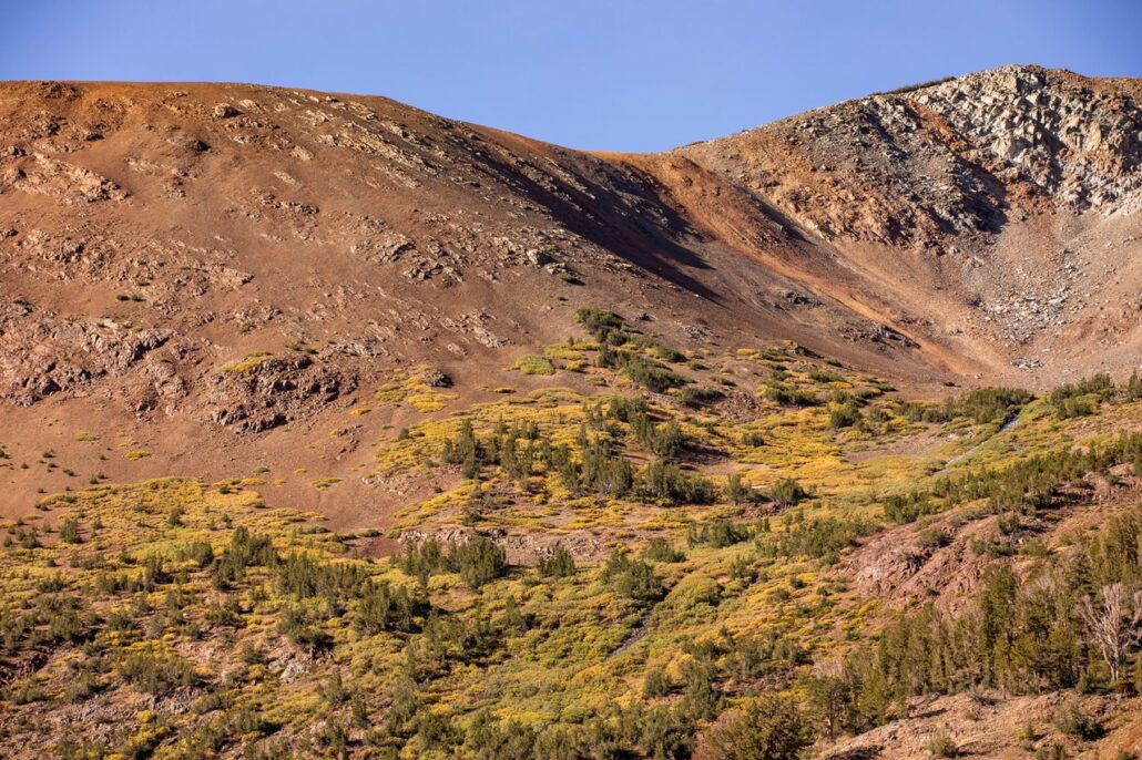 Virginia Lakes Fall Colors (9 16 24) Photo Credit Samantha Lindberg Mammoth Lakes Tourism 5 Medium