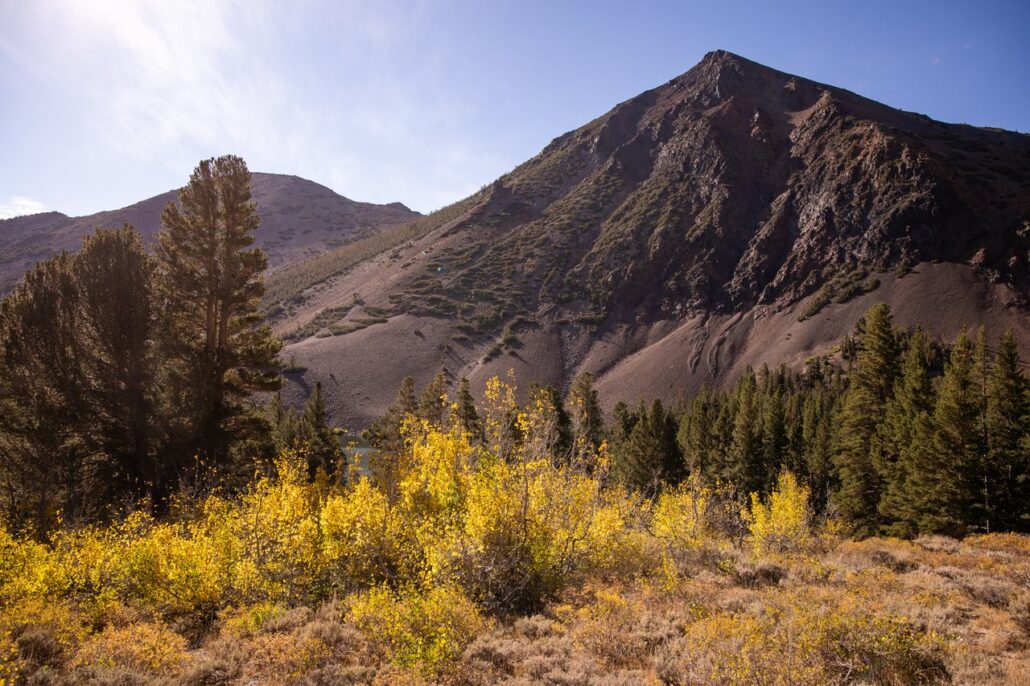 Virginia Lakes Fall Colors (9 16 24) Photo Credit Samantha Lindberg Mammoth Lakes Tourism 7 Medium