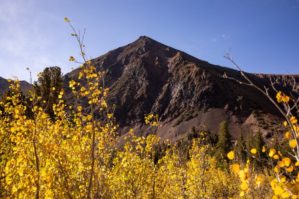 Virginia Lakes Fall Colors (9 16 24) Photo Credit Samantha Lindberg Mammoth Lakes Tourism 8 Medium