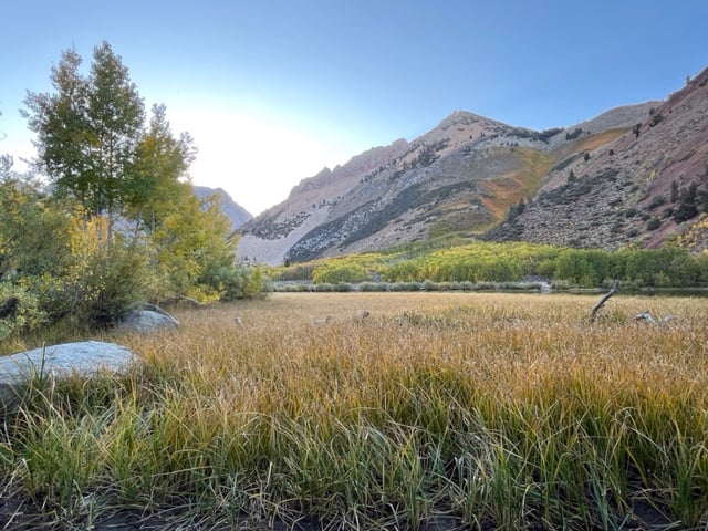 Image6