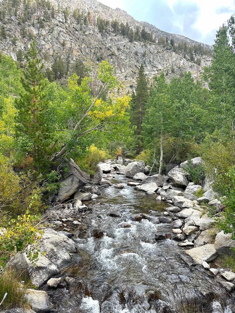 Image 6209779 Copy
