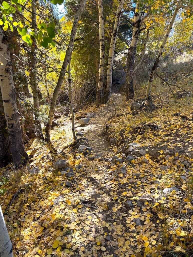 10.15.24 June Lake Loop Liz Grans, Mono County Tourism (3).jpg