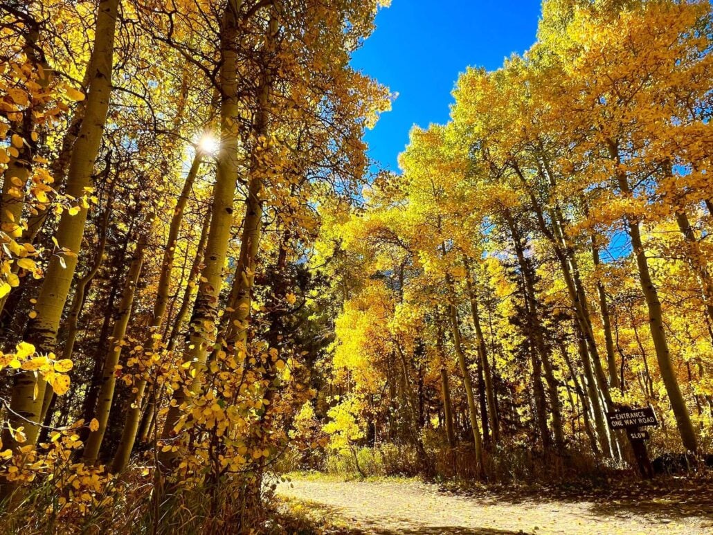 10.3.24 Green Creek By Amanda Carlson With Mono County Tourism (6)