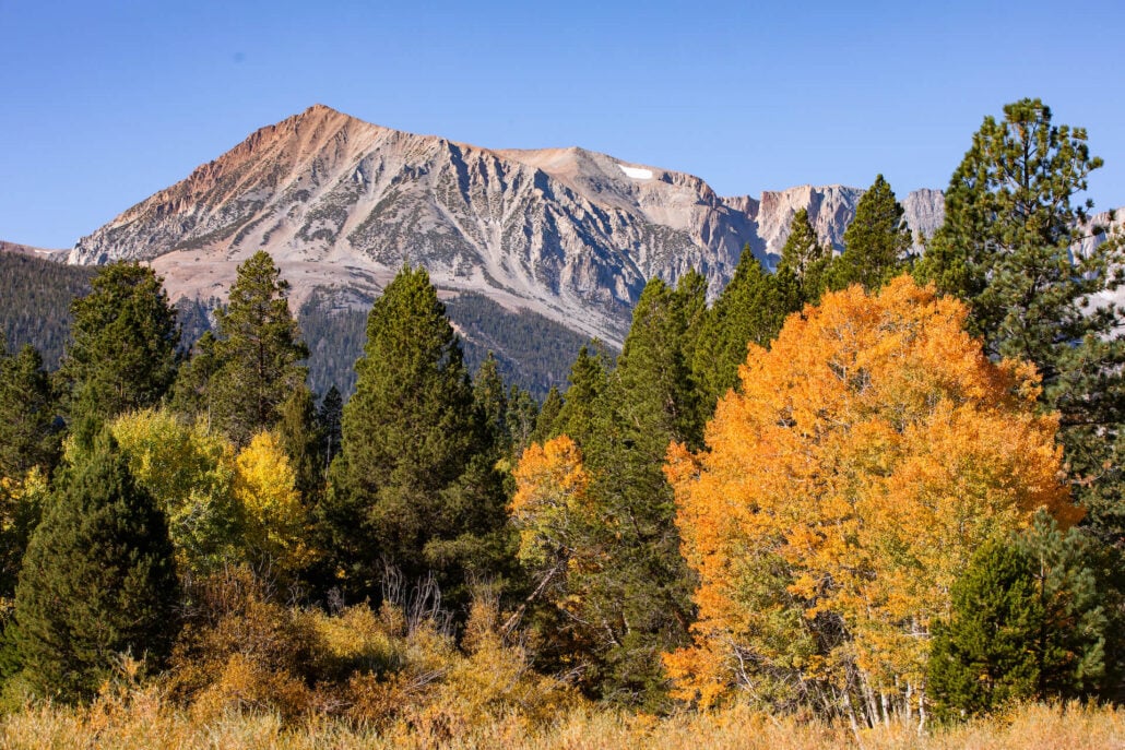 Lee Vining Canyon (10 15 24) Photo Credit Samantha Lindberg Mammoth Lakes Tourism 3
