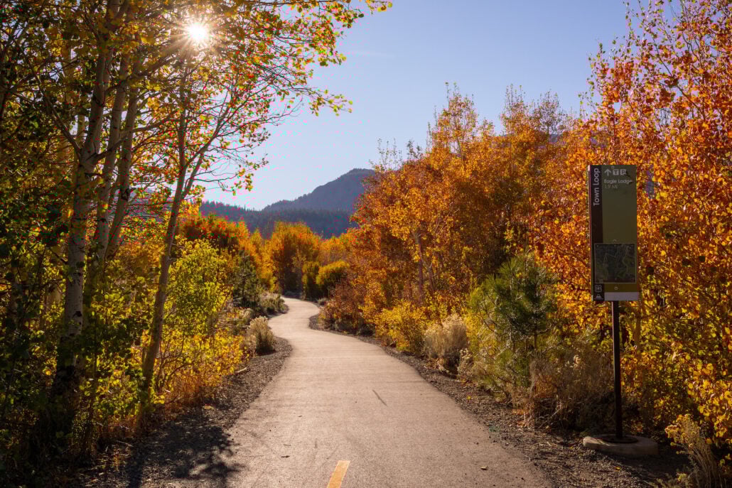 Mammoth Lakes Fall Colors (10 22 24) Photo Credit Samantha Lindberg Mammoth Lakes Tourism