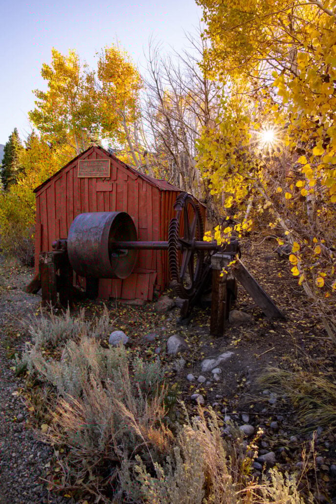 Mammoth Lakes Fall Colors (10 22 24) Photo Credit Samantha Lindberg Mammoth Lakes Tourism 17
