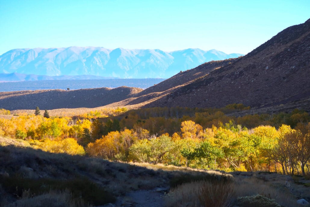Mcgee Creek Canyon Fall Colors (10.21.24) Photo Credit Jenna Andersen Mammoth Lakes Tourism2