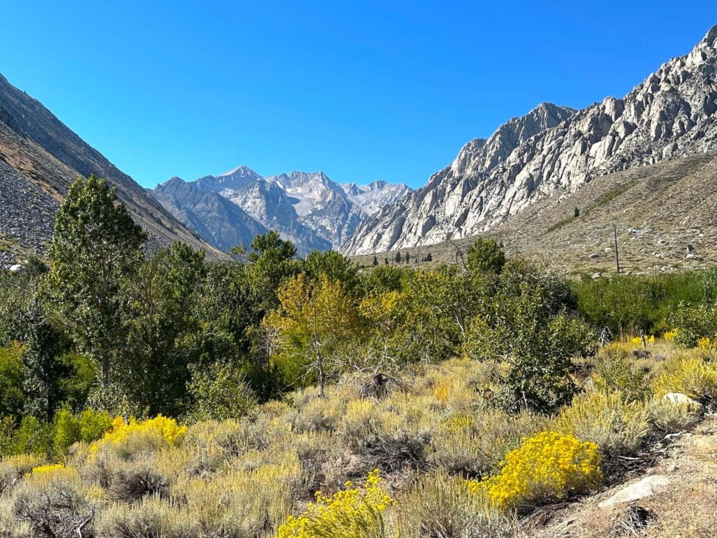 Pine Creek Cyn 10 2 24 1 Copy
