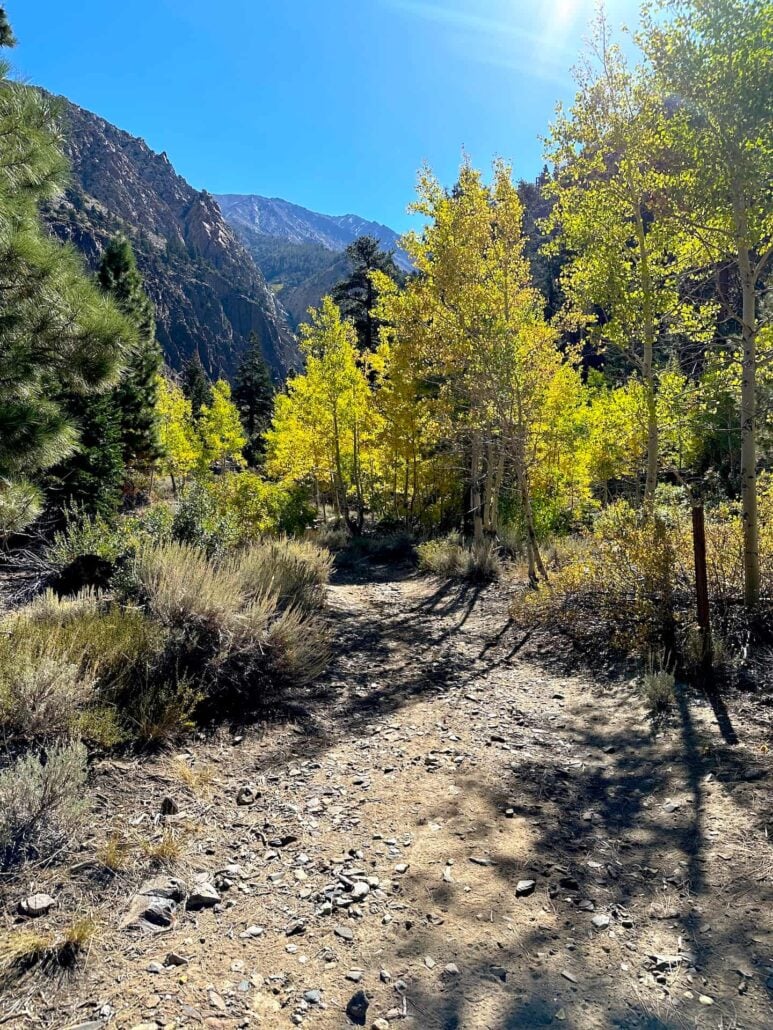 Pine Creek Cyn 10 2 24 3 Copy