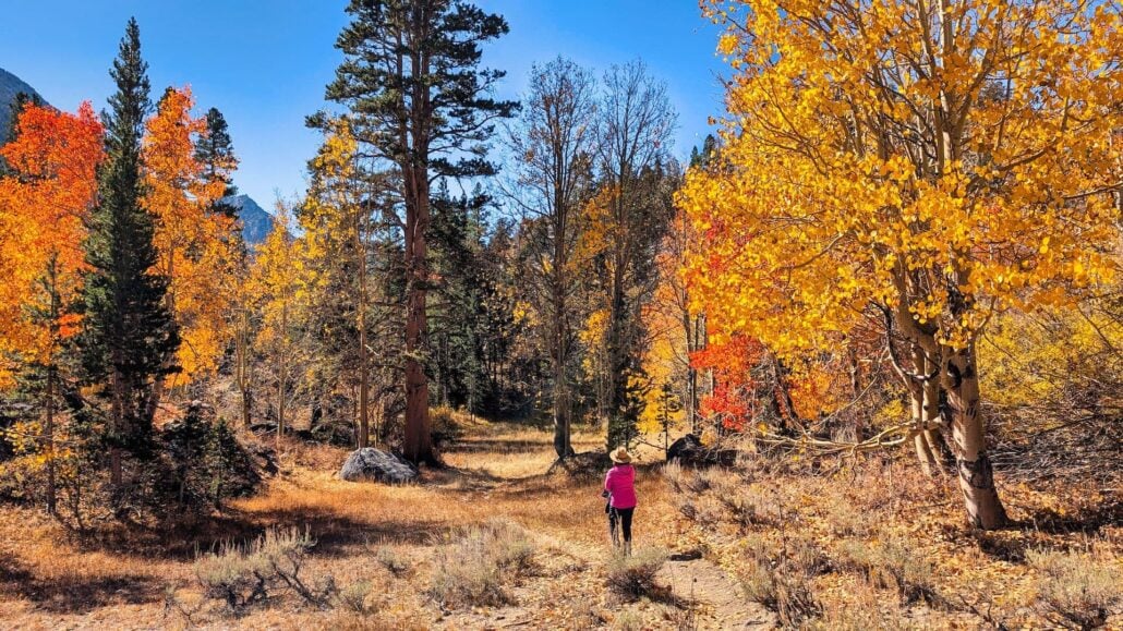 Surrounded By Color Lake Sabrina Campground