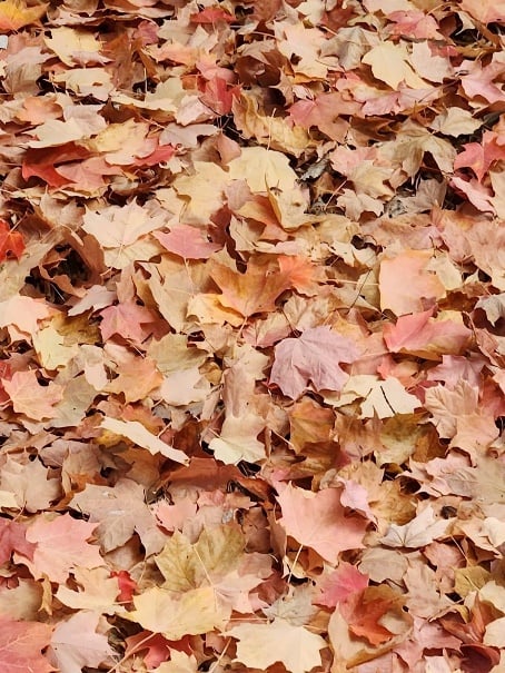 Image003
