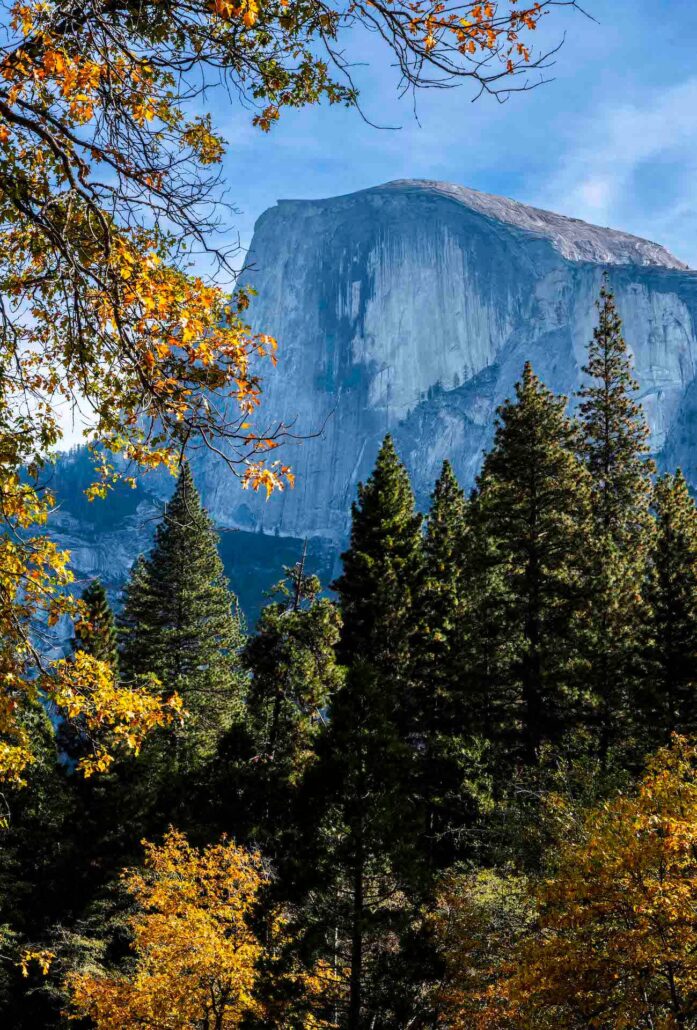 11 10 24 S Arita Yosemite Cfc #1 (1 Of 1) 2