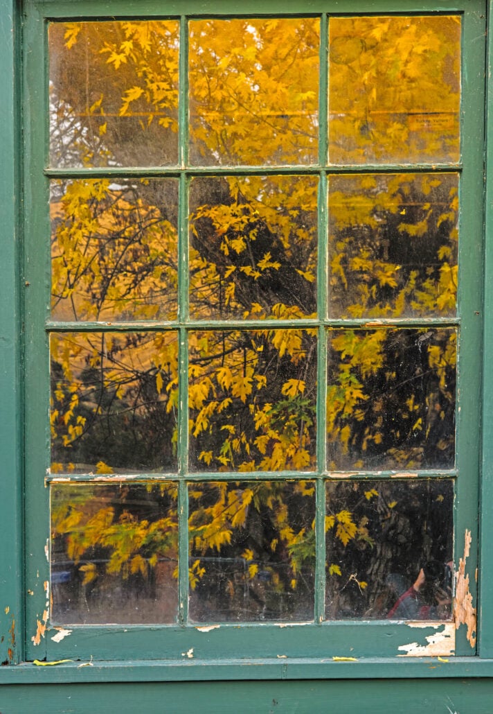 Autumn Reflections At Coloma