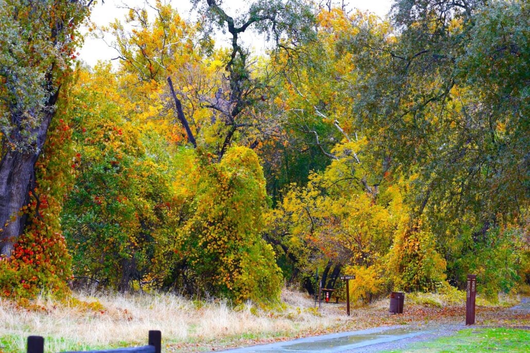 Bidwell Park Trail