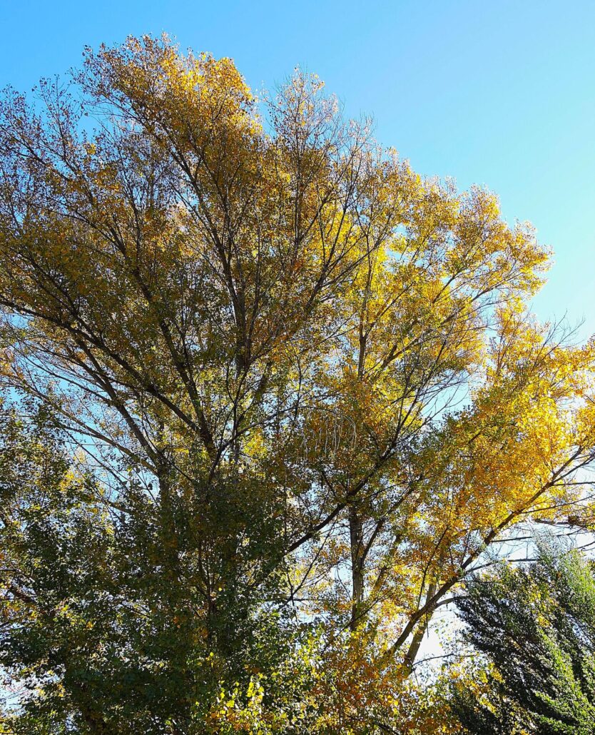 Dscn0281a