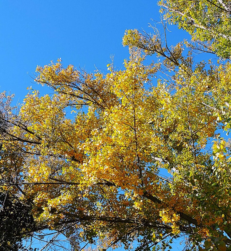 Dscn0285a