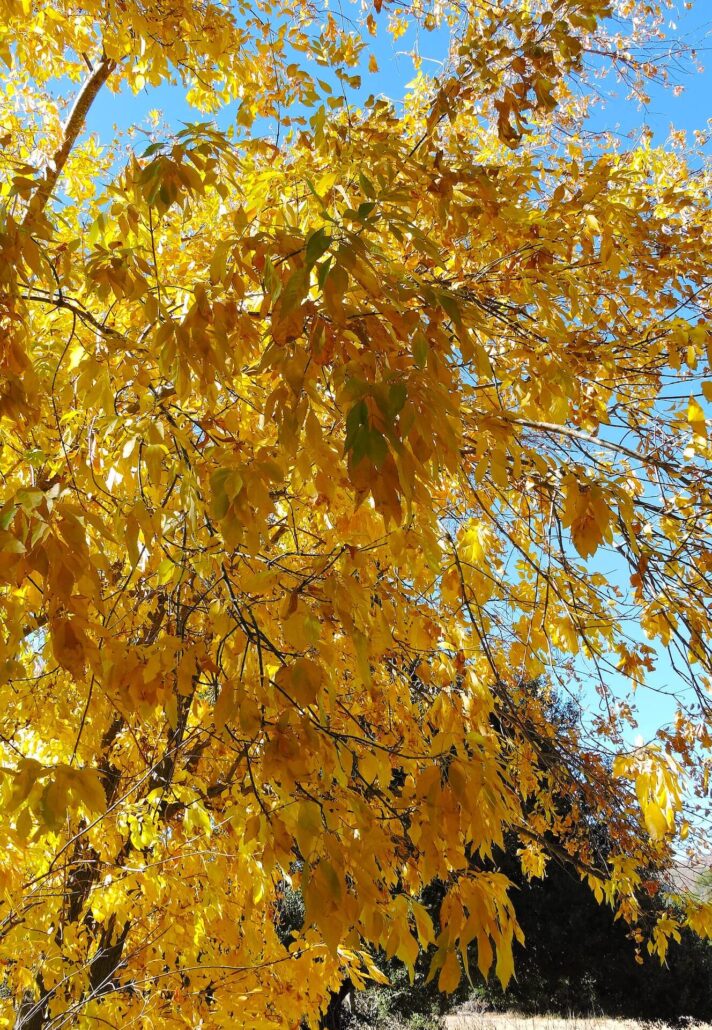 Dscn0377a