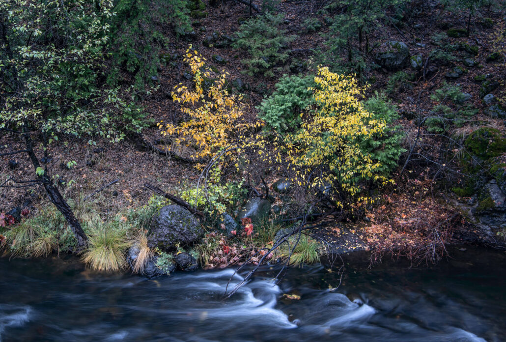 Deer Creek