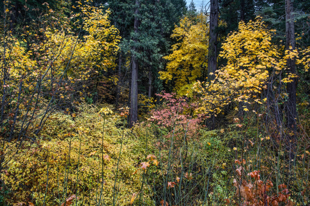 Deer Creek Highway 3