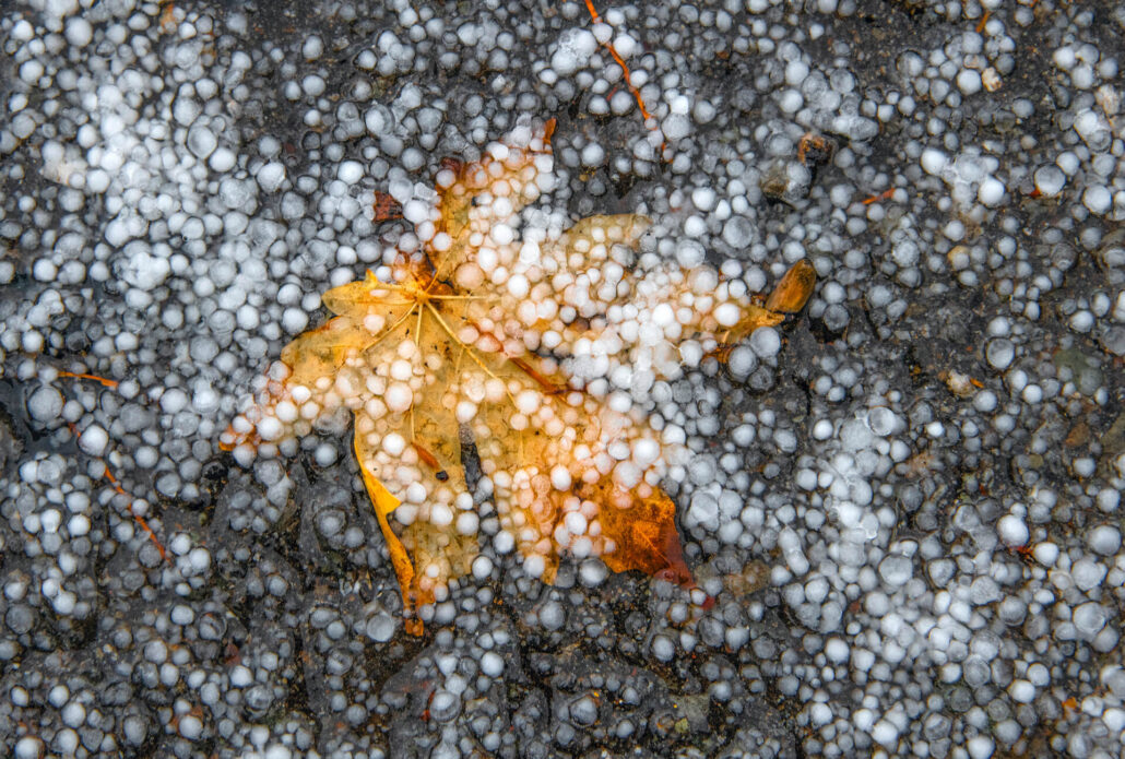 Frozen