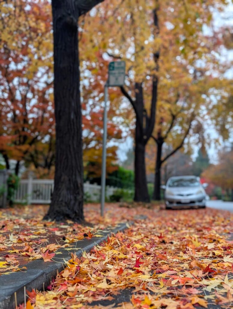 Pa Fall 5