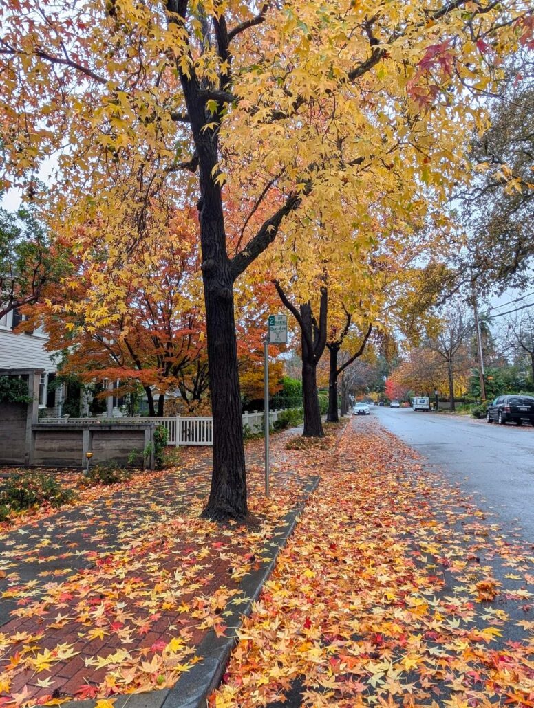 Pa Fall 7