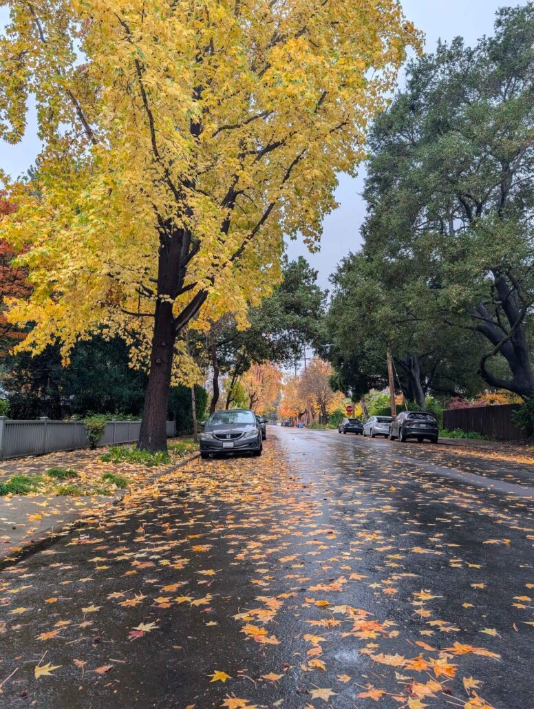 Pa Fall 9