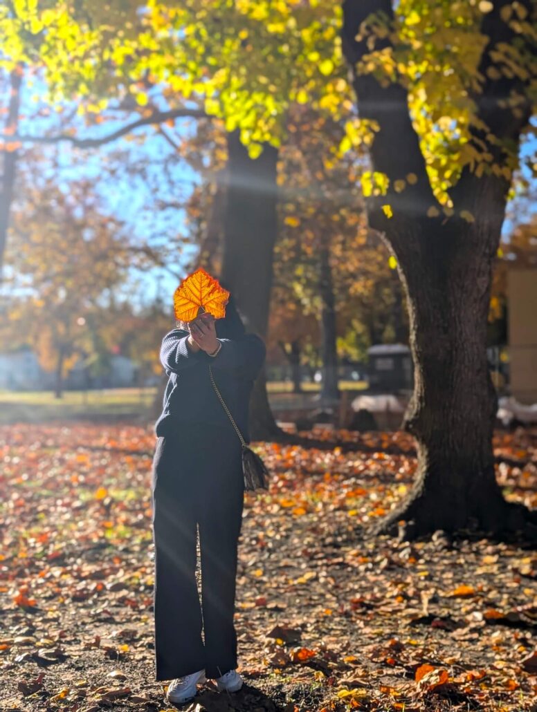 Sacramento Fall 3