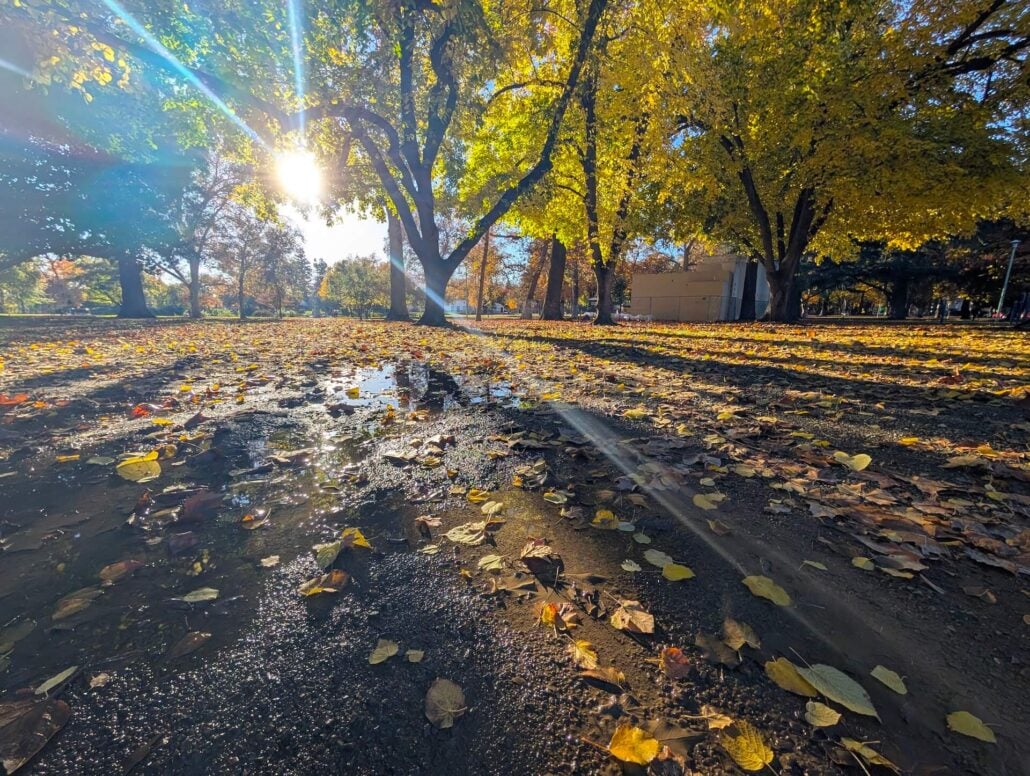 Sacramento Fall 4