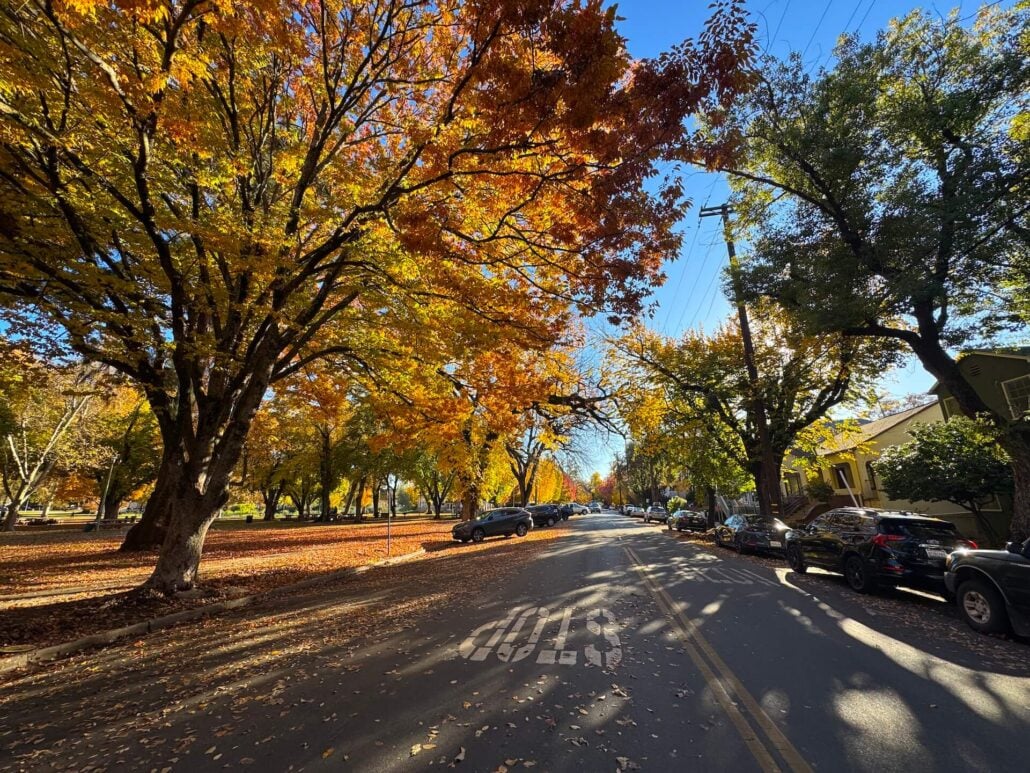 Sacramento Fall 9 Copy