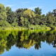 8 31 25 american river #1 copy