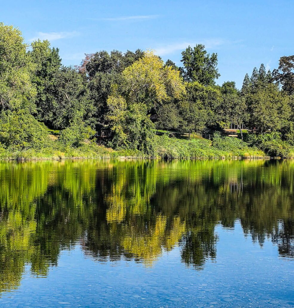 8 31 25 american river #1 copy