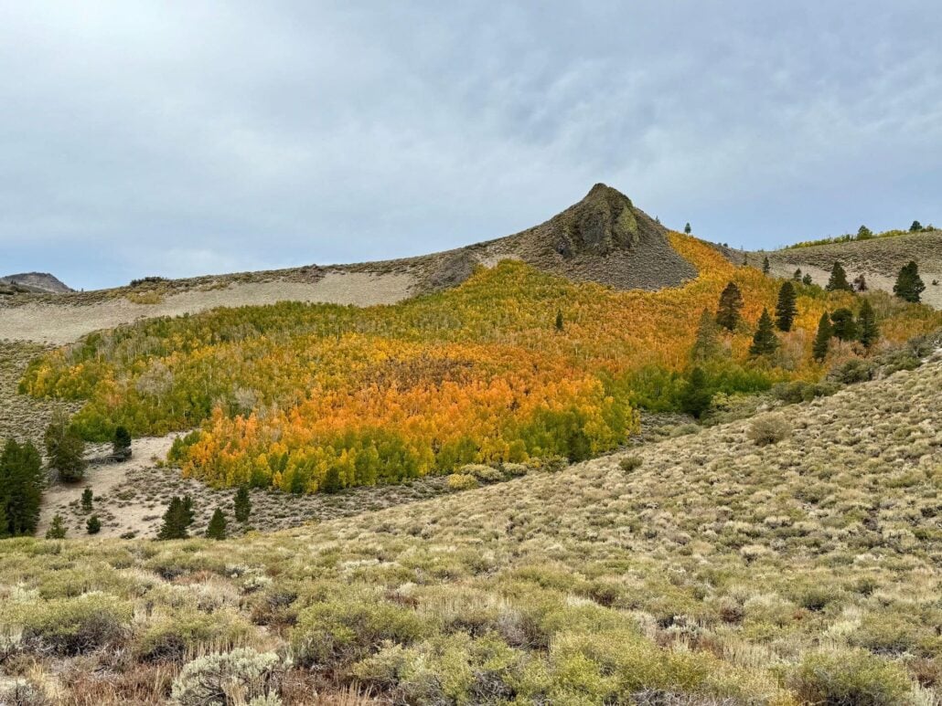 9.18.25 dexter creek amanda carlson, mono county tourism 2 copy