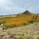 9.18.25 dexter creek amanda carlson, mono county tourism 2 copy