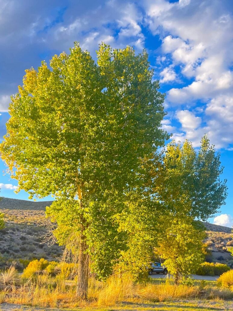 9.20.25, benton emily bryant, mono county tourism