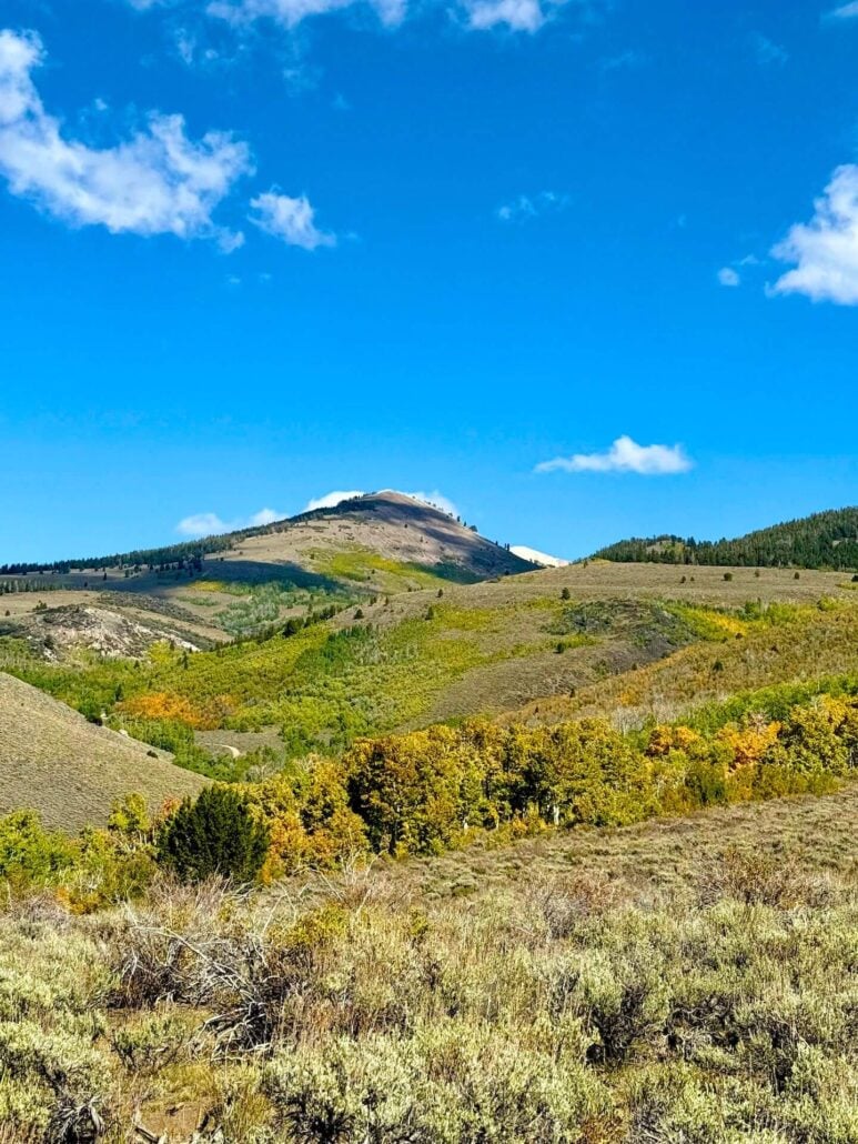 9.22.25 lobdell amanda carlson, mono county tourism.jpg