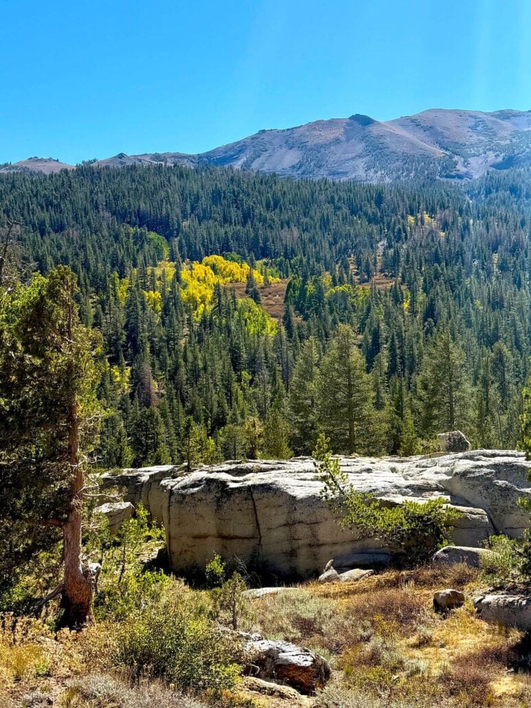 9.22.25 sonora pass amanda carlson, mono county tourism (1)