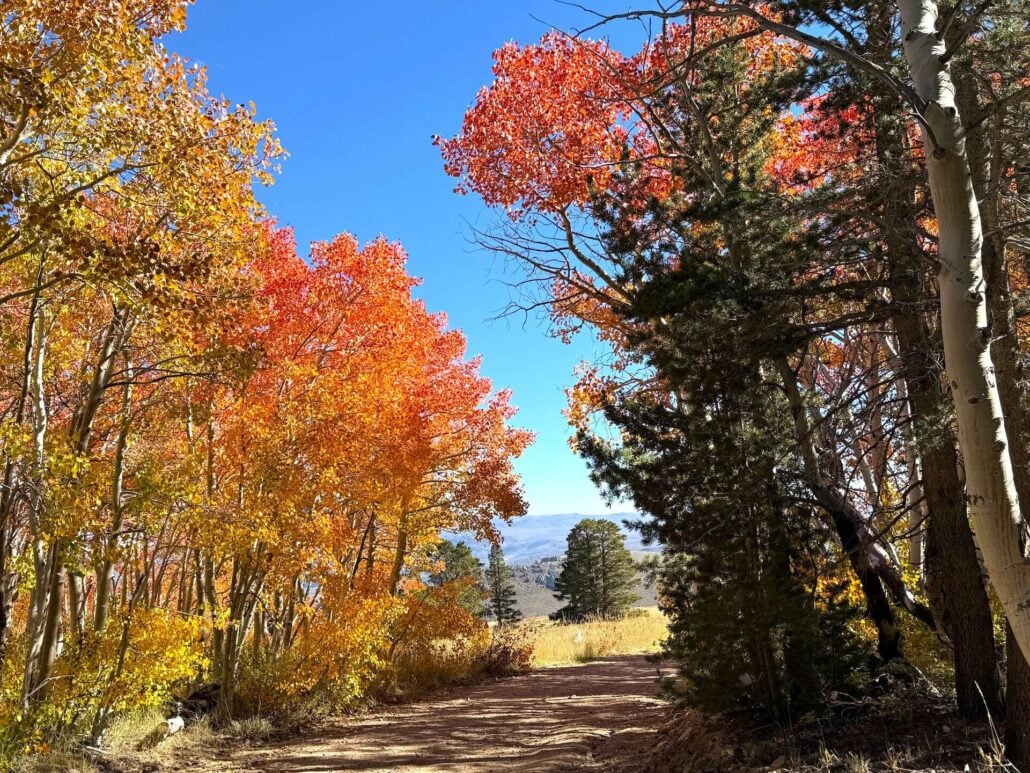 9.24.25 dunderberg meadow road amanda carlson, mono county tourism