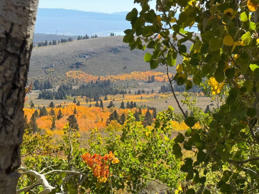 9.24.25 dunderberg meadow road amanda carlson, mono county tourism 11