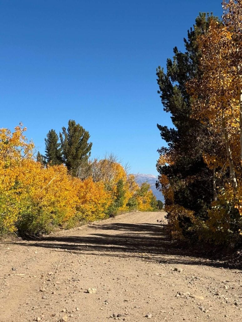 9.24.25 dunderberg meadow road amanda carlson, mono county tourism (3)