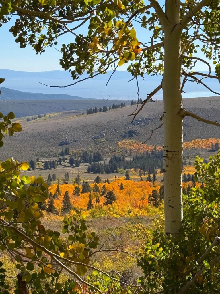9.24.25 dunderberg meadow road amanda carlson, mono county tourism (4)