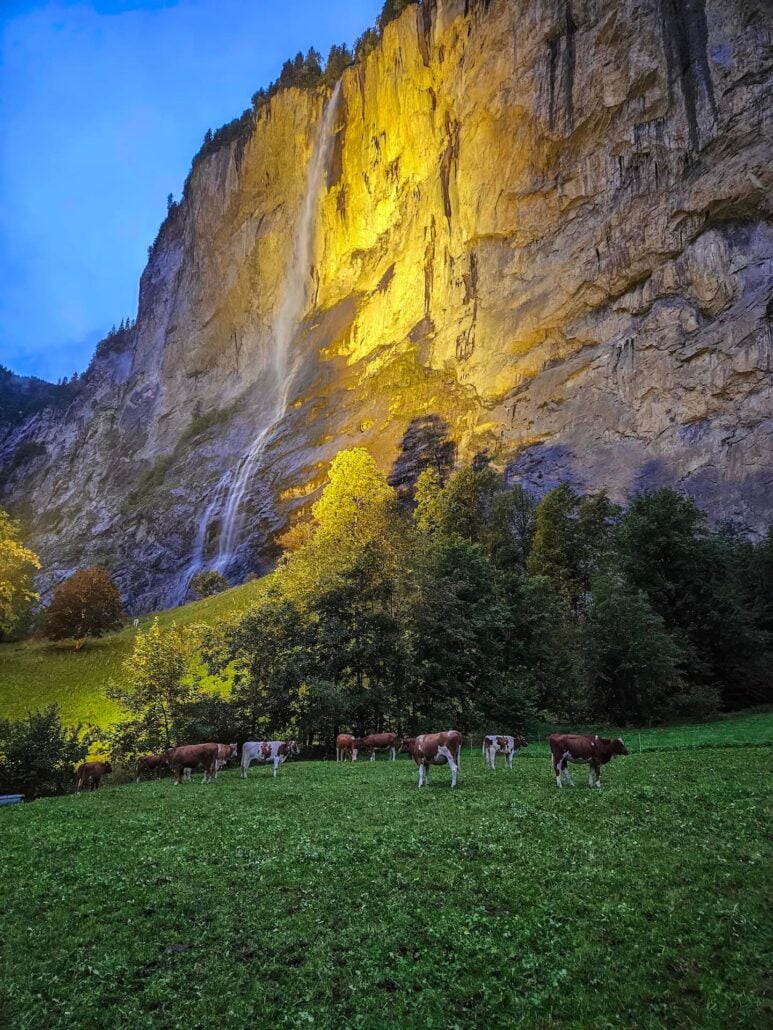 'falls' color