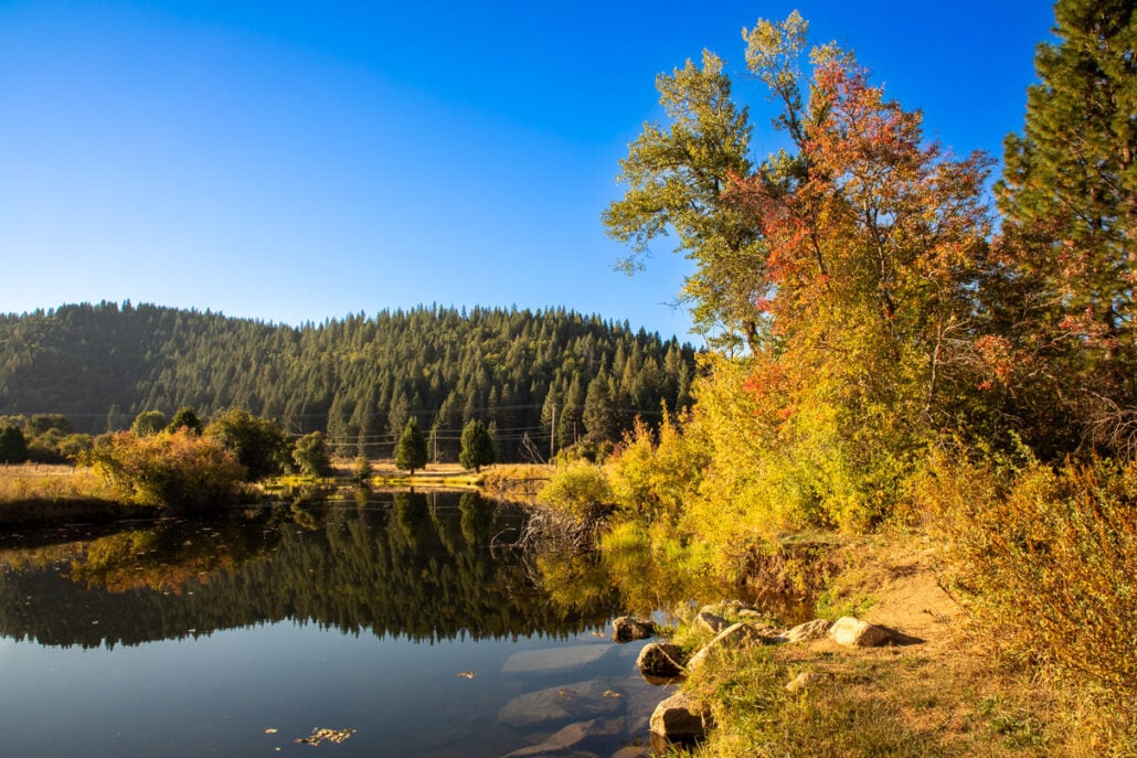 Greenhorn creek