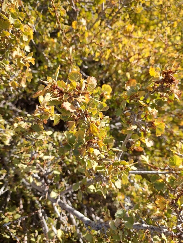 Img 20250917 091610456 hdr