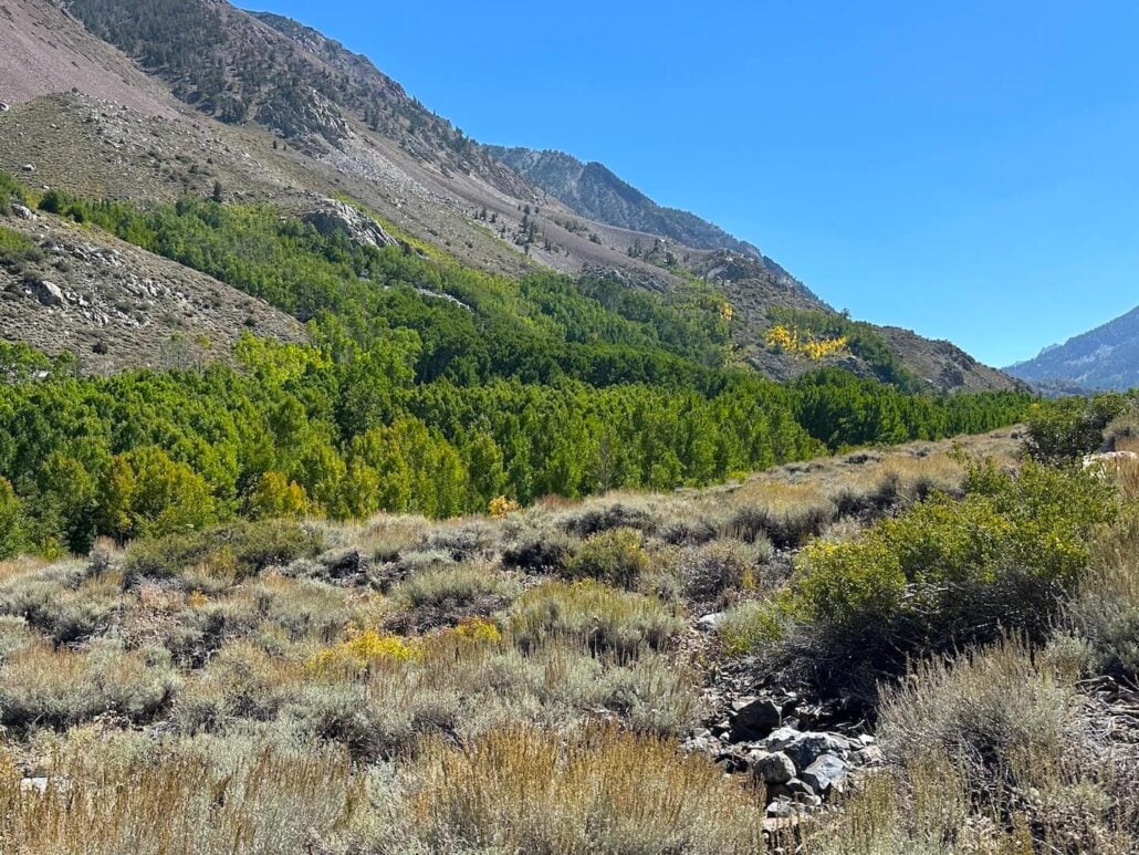 South fork near mist falls sep 16 2025, 1 24 14 pm