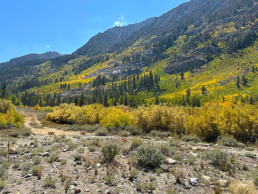 Surveyors meadow sep 16 2025, 1 34 34 pm