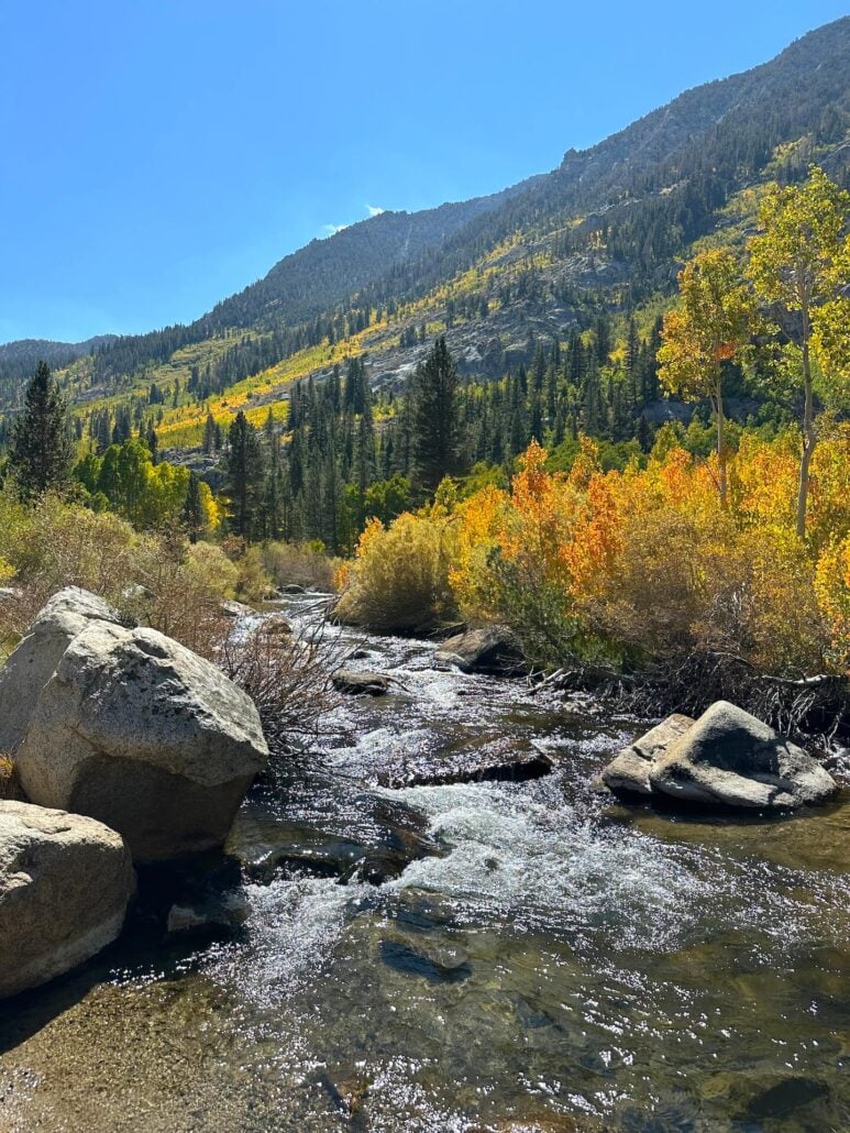Surveyors meadow sep 16 2025, 1 36 30 pm