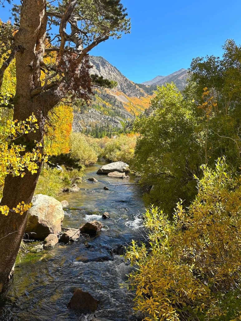 Willow camp 9 24 25 2