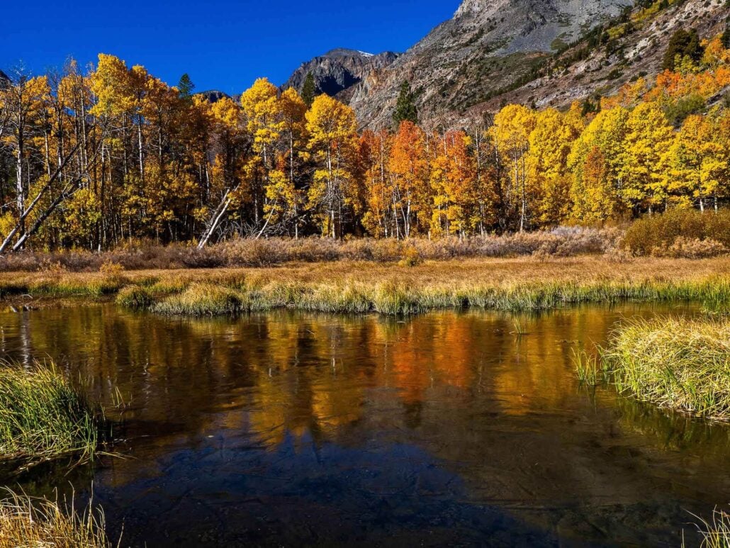 10 12 25 lundy lake #1 cmprsd