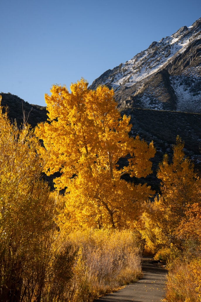 10 20 25 convictlake kimespinosa 007